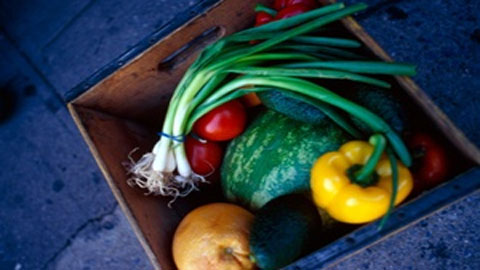 Trung Quốc phát hiện hơn 9.600kg rau nhiễm độc